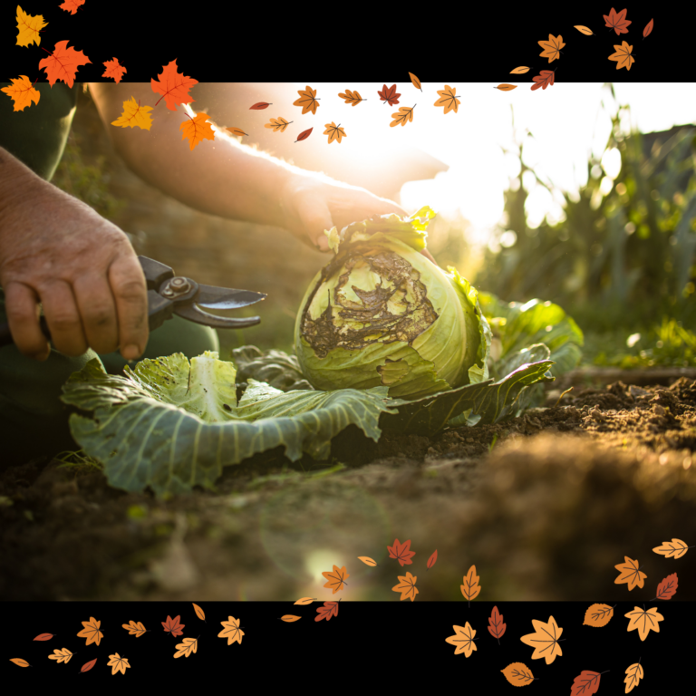 Fall Energetics