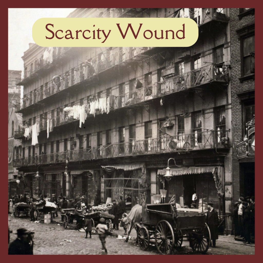 The Scarcity Wound affects the sympathetic nervous system and affects the Root Chakra.